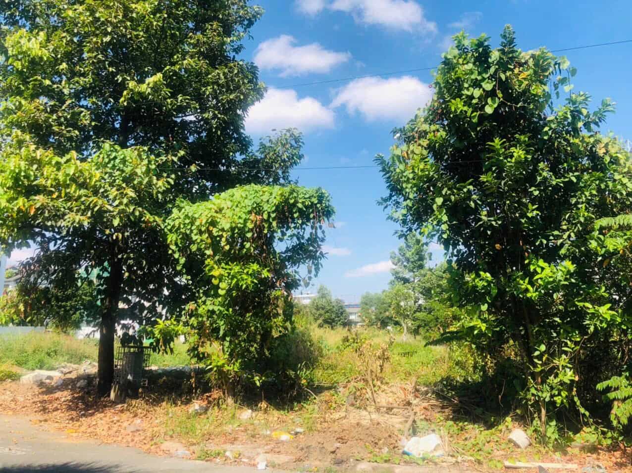 Bán đất đường Đặng Như Mai Quận 2, TP.HCM – giá 58 tỷ