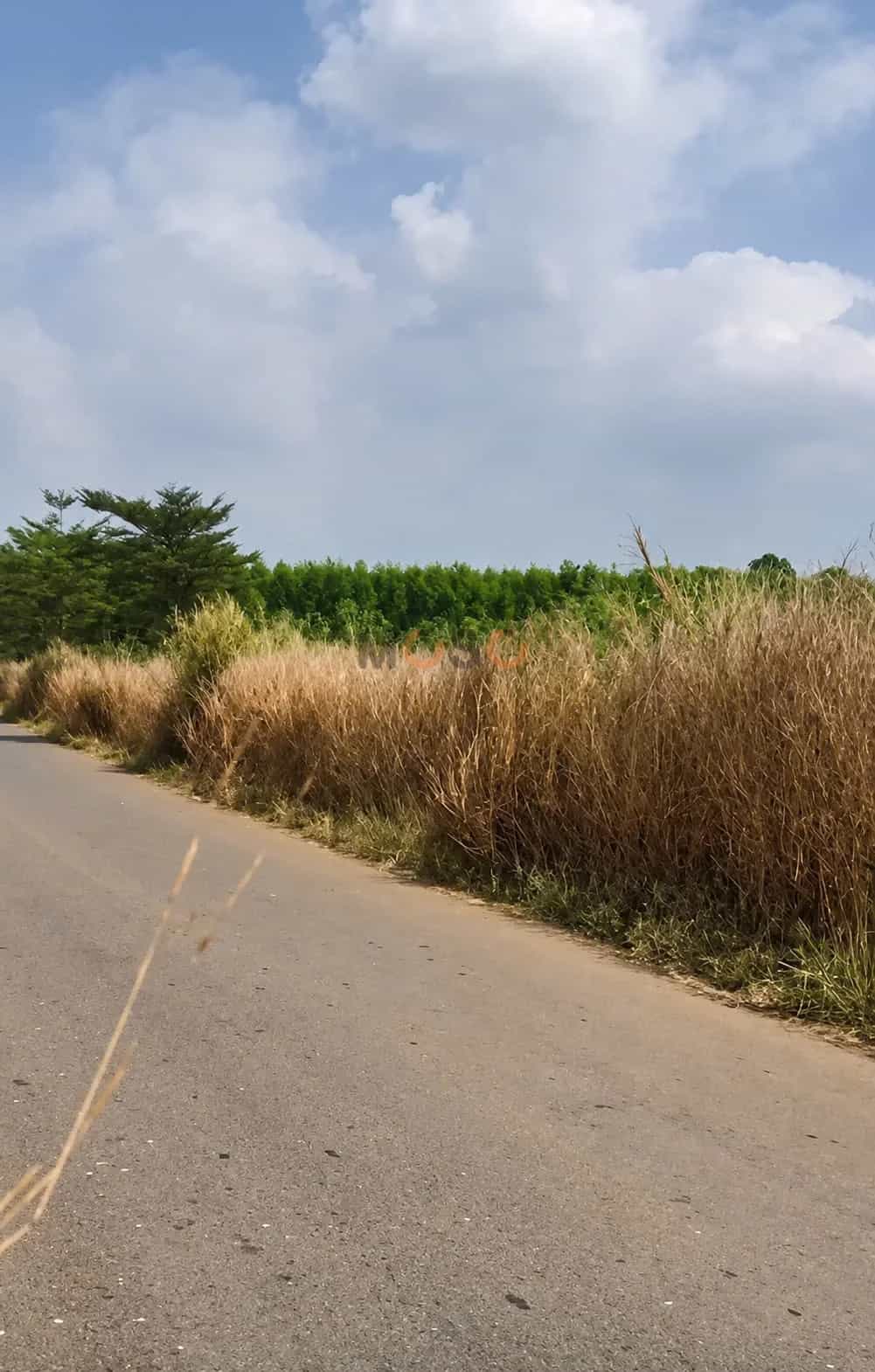 Bán đất Hưng Bình 1 Huyện Trảng Bom, Đồng Nai – giá 2 tỷ