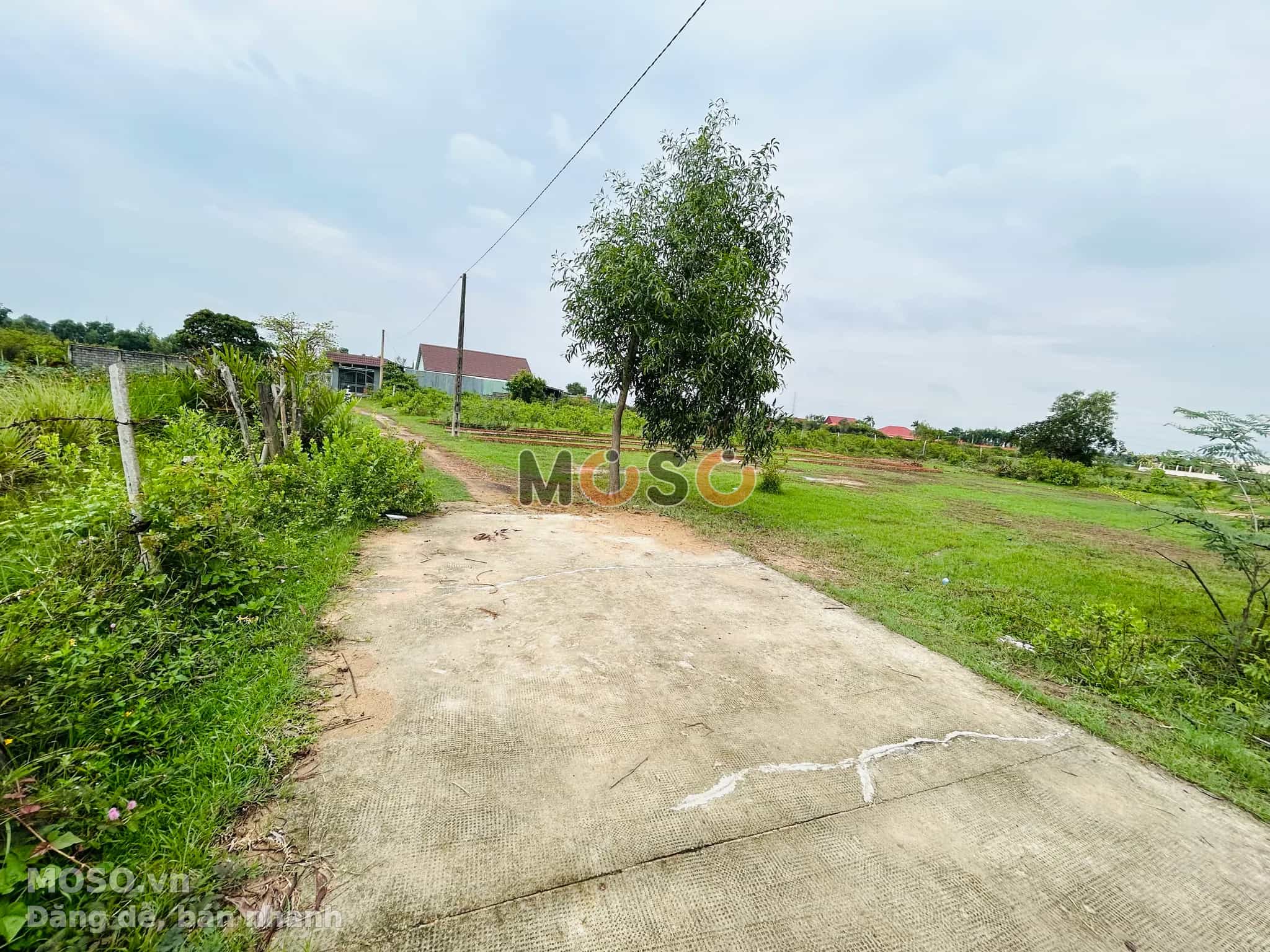 Bán đất đường Võ Thị Sáu Huyện Nhơn Trạch, Đồng Nai – giá 22,5 tỷ Bán đất đường Võ Thị Sáu Huyện Nhơn Trạch, Đồng Nai – giá 22,5 tỷ