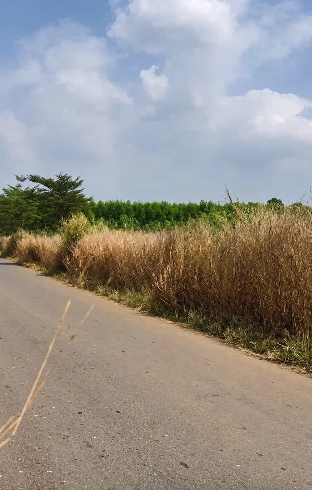 Bán đất Hưng Bình 1 Huyện Trảng Bom, Đồng Nai – giá 2 tỷ
