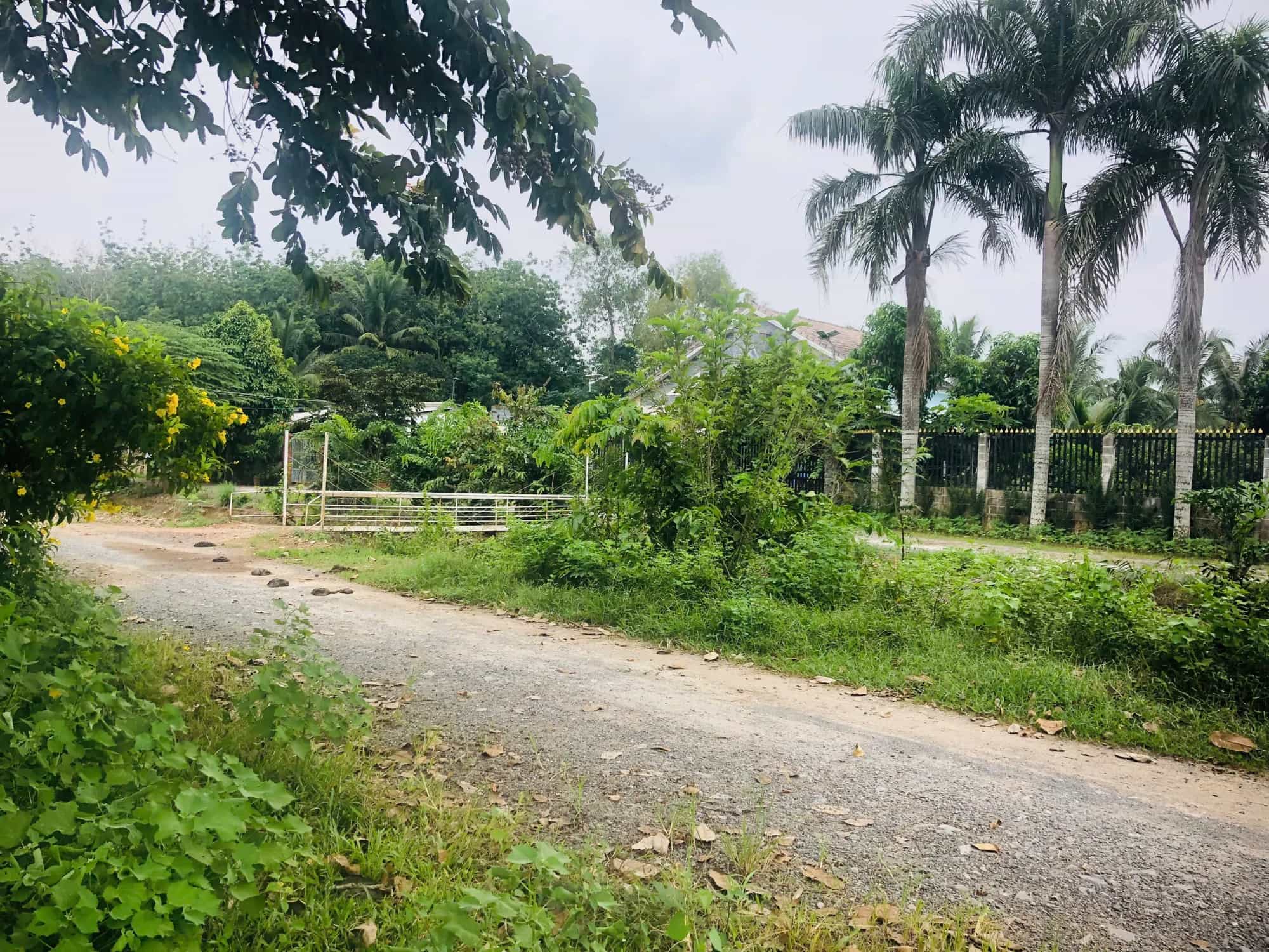 Bán đất Bà Thiên Huyện Củ Chi, TP.HCM – giá 2 tỷ