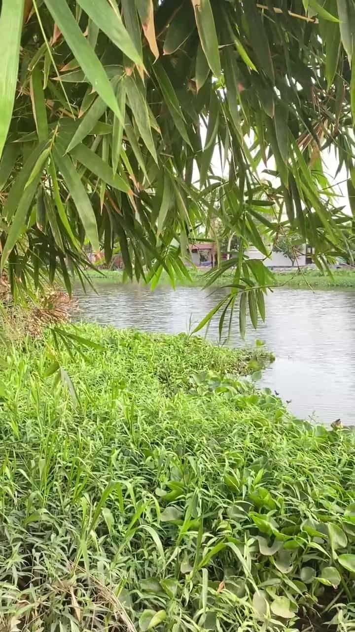 Bán nhà hẻm Hà Huy Giáp Quận 12