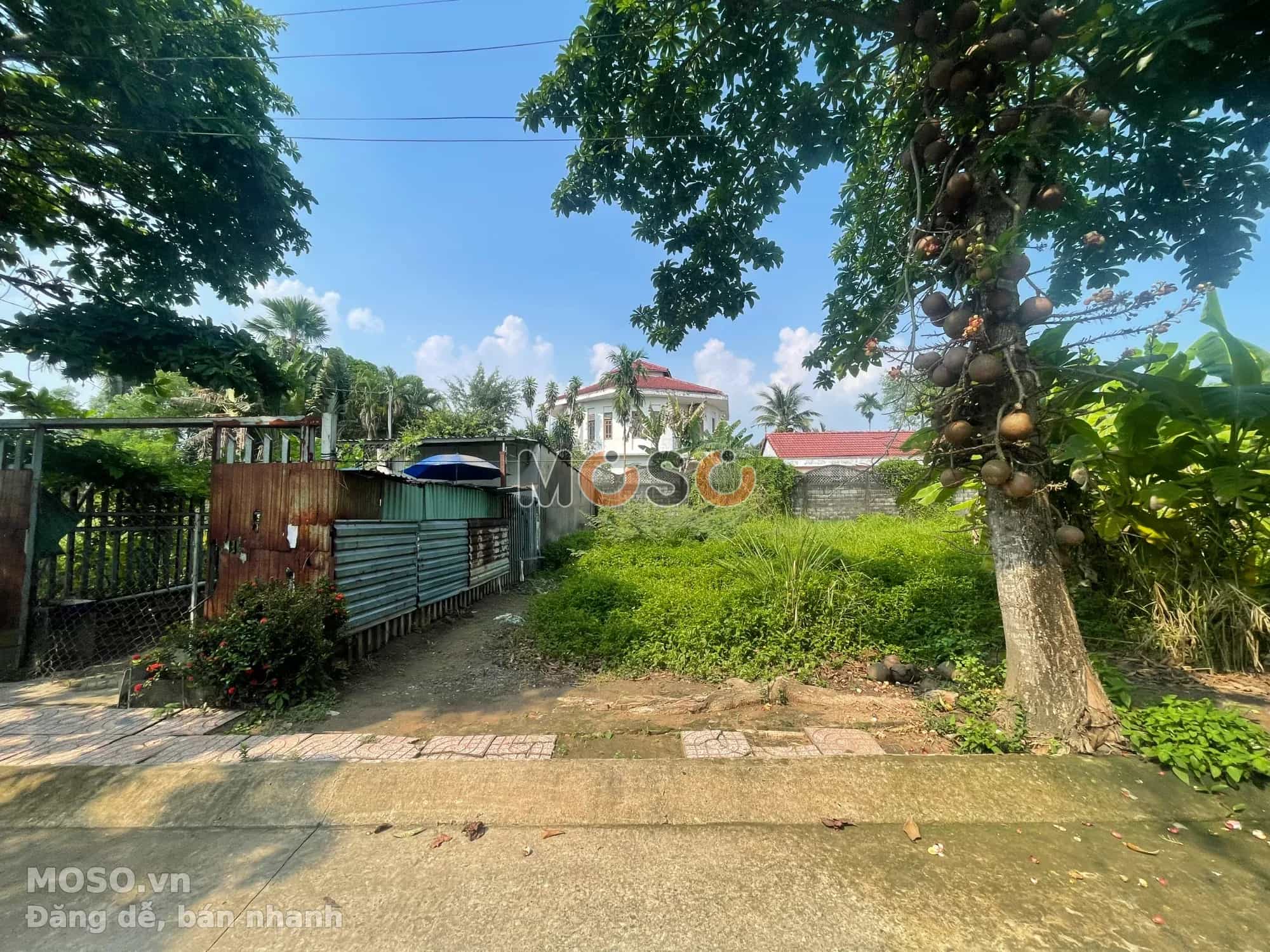 Bán đất Cầu Đình Quận 9, TP.HCM – giá 3,4 tỷ